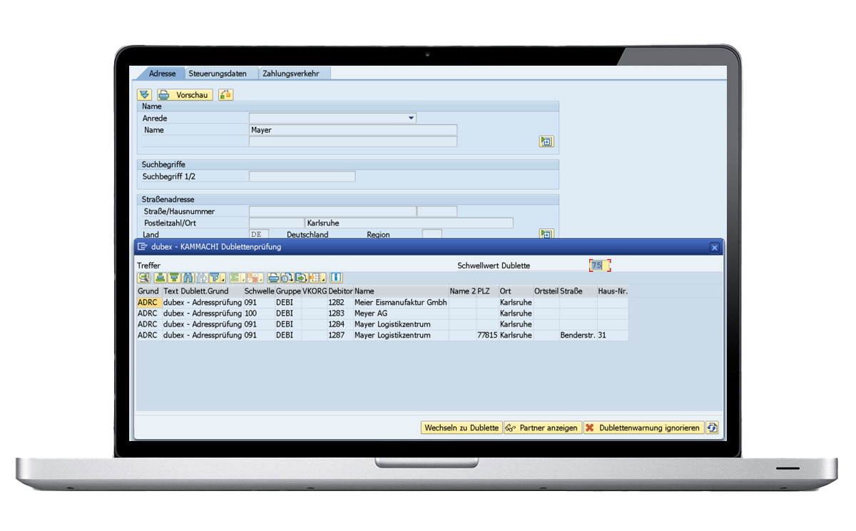 Screenshot Dublettenprüfung in SAP mit dubex